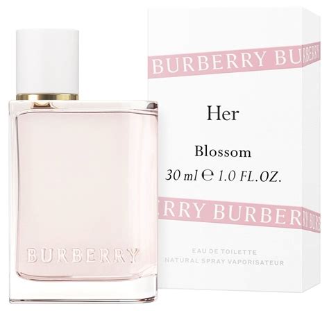 fragrance notes in burberry her|Burberry Her blossom fragrantica.